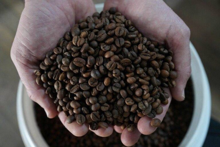 Tarifa sobre café solúvel brasileiro afeta consumidores nos EUA
