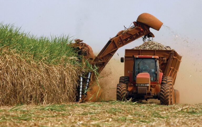 Governo lança subsídio para produtores de cana afetados por tarifas dos EUA
