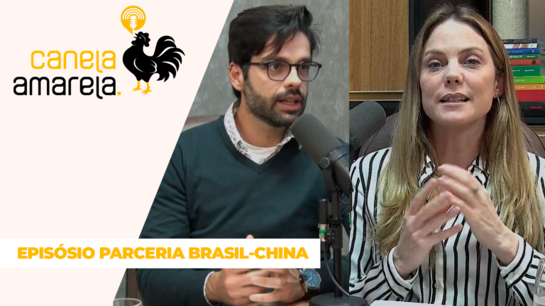 Parceria Brasil-China: relação comercial sustentável ou temporária?