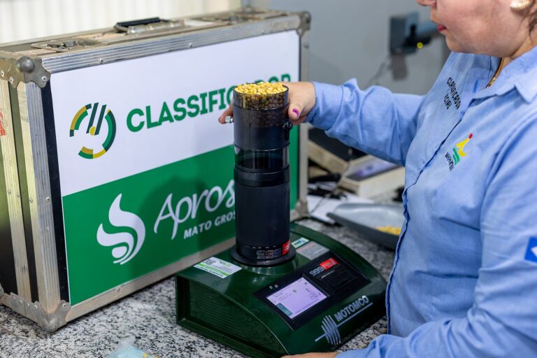 Classificador legal auxilia produtores no diagnóstico de grãos ardidos