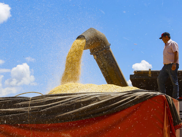 Recuperação judicial no agronegócio cresce 33% no primeiro trimestre