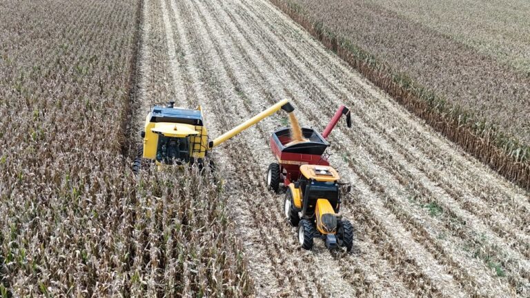 Agricultor paranaense triplica produtividade e bate recorde nacional de milho