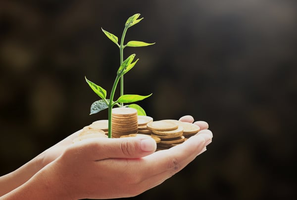 BNDES mobiliza até R$ 6 bi para mercado de crédito de carbono