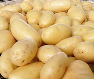 Batata ágata recua até 19% com intensificação da safra