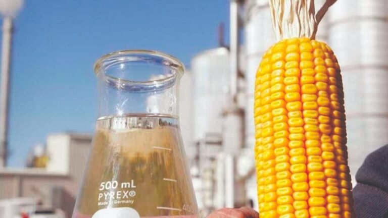 Etanol de milho americano virou entrave nas negociações Brasil-EUA
