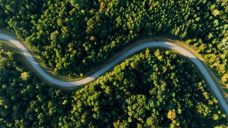 Brasil planeja adicionar 8 milhões de hectares de floresta até 2035