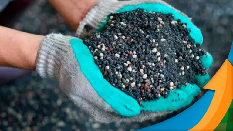 Reduzir dependência de fertilizantes é questão de segurança alimentar