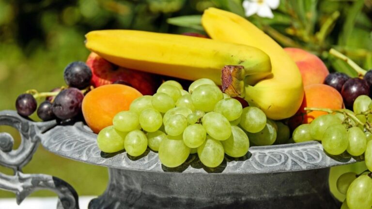 Brasil amplia exportações de frutas com demanda global por alimentos saudáveis