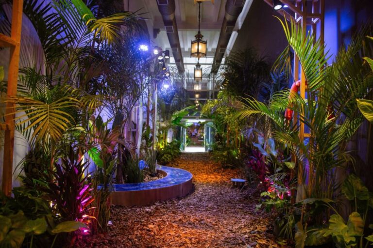 Exposição Histórias da Floresta convida a explorar ciclos da natureza