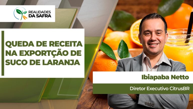 Safra 2025-26 fecha com suco de laranja estável em volume