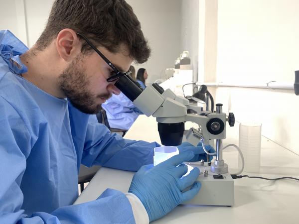 Paraná moderniza vigilância ambiental contra dengue com tecnologia e georreferenciamento