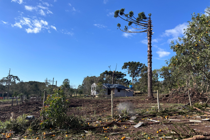 Tornado F2 em Reserva atinge 200 km/h e causa danos significativos