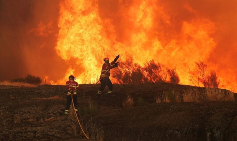 Incêndios florestais ameaçam Bordeaux e região vinícola