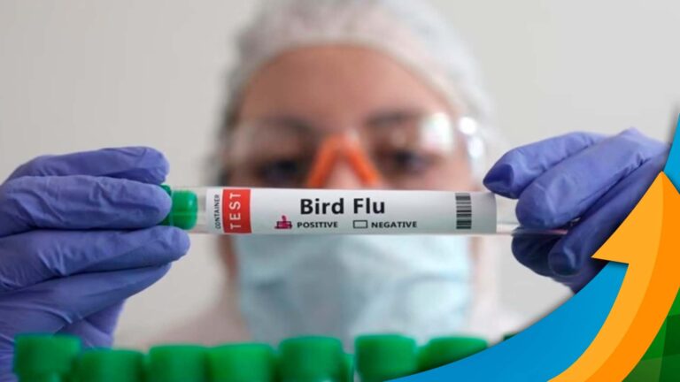 Austrália confirma transmissão da gripe aviária H5N1 entre aves nativas