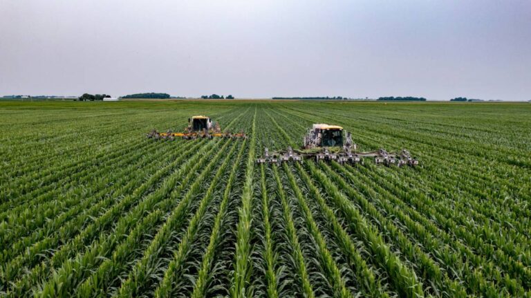 Governo monitora impactos do Super El Niño no agronegócio