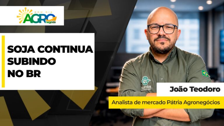 Soja brasileira acumula R$ 16 bi em ganhos em quatro meses