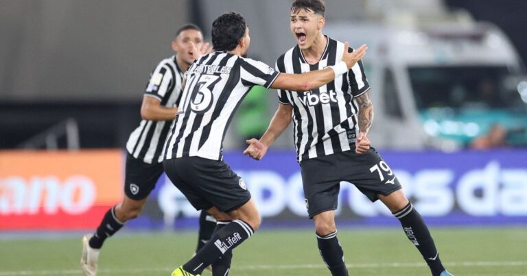 Botafogo vence Santos com erro bizarro e respira na luta