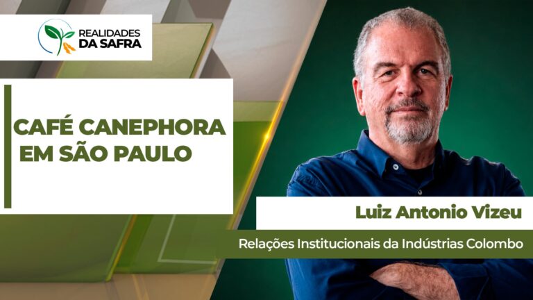 São Paulo investe em café canephora como alternativa de cultivo