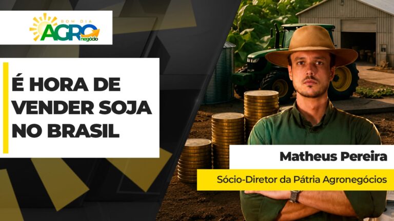 Soja sobe de R$ 15 a R$ 20 por saca em três meses