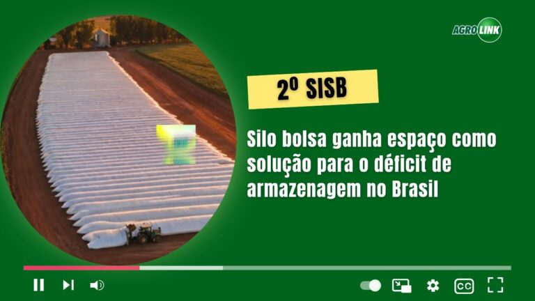 Silo bolsa ganha espaço como solução para deficit de armazenagem