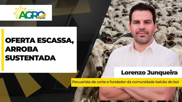 Oferta ajustada mantém preços da arroba do boi fortalecidos