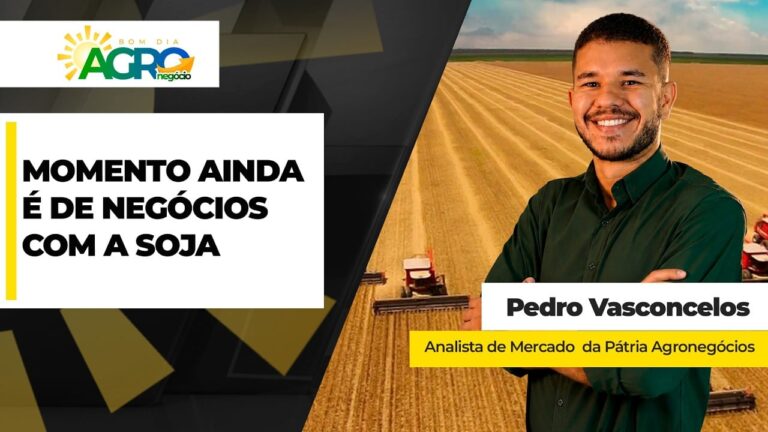 Soja brasileira resiste à volatilidade com demanda forte em Chicago
