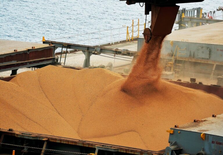 Soja Brasil prevê embarques de 13,7 mi de toneladas em julho