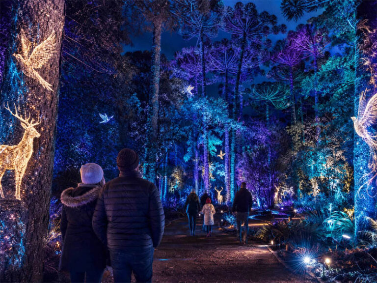 Passeio Público de Curitiba se transforma em Inverno Encantado