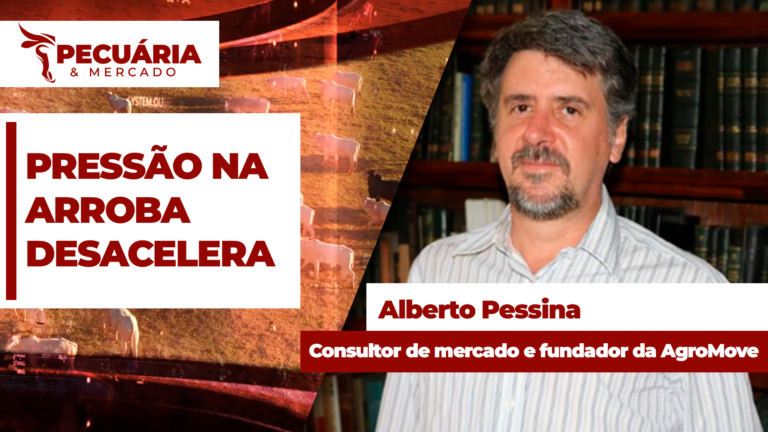 Pressão sobre arroba desacelera em busca de piso para preços