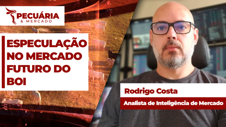 Incerteza chinesa abre espaço para especulação no mercado futuro do boi