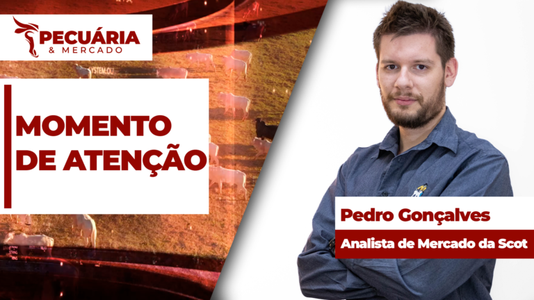Fim da cota chinesa pressiona mercado do boi