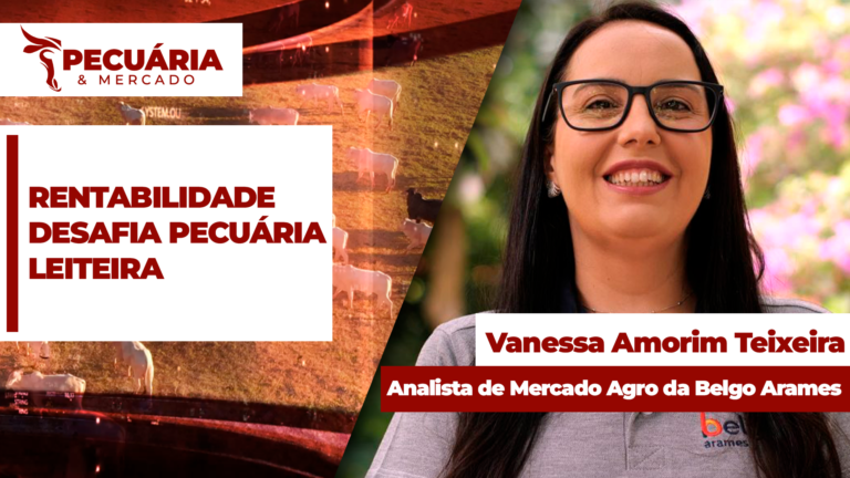 Eficiência produtiva é chave para rentabilidade da pecuária leiteira