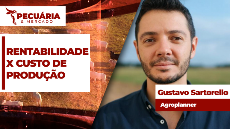 Reposição estratégica e eficiência mudam custo do confinamento