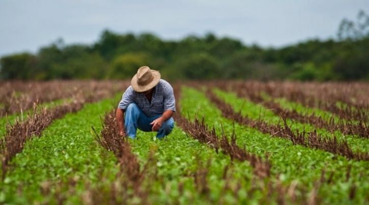 Syngenta oferece descontos de até 60% no Dia do Agricultor