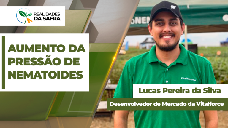 Pesquisadores alertam para aumento de nematoides no MS