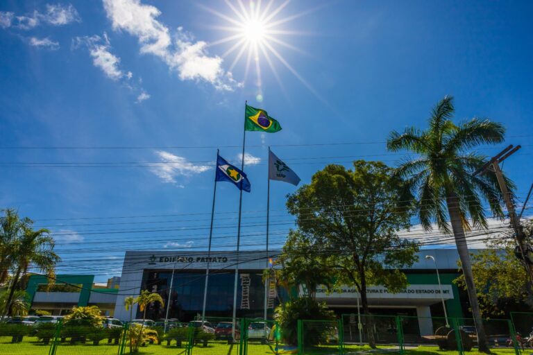 Famato vê avanços no plano safra, mas cobra medidas estruturais
