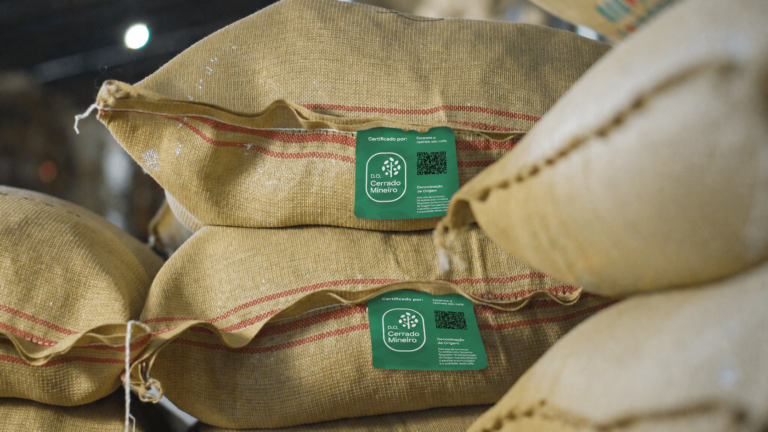 Cerrado mineiro certifica 420 mil sacas de café em 2025-2026