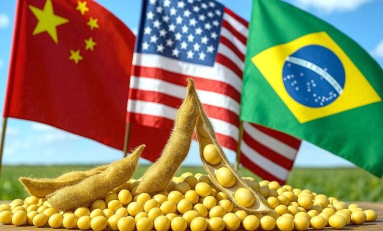 Soja americana cara atrai China apesar de preço superior ao Brasil