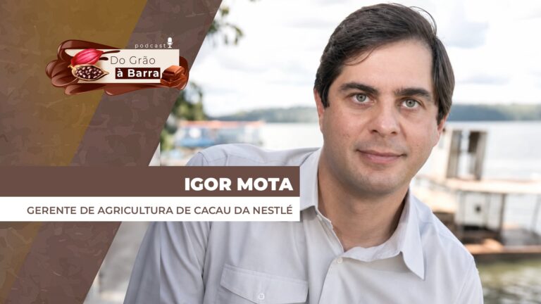 Indústrias de chocolate investem em cacau sustentável e de qualidade