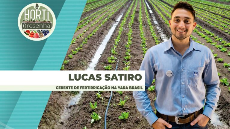 Fertirrigação emerge como solução contra seca nos cultivos