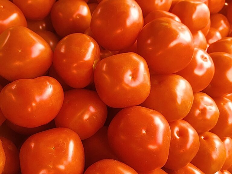 Tomate Carmem cai 62% no atacado da Ceagesp em um mês
