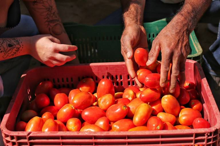 Governo autoriza pagamento de equalização de juros em financiamentos