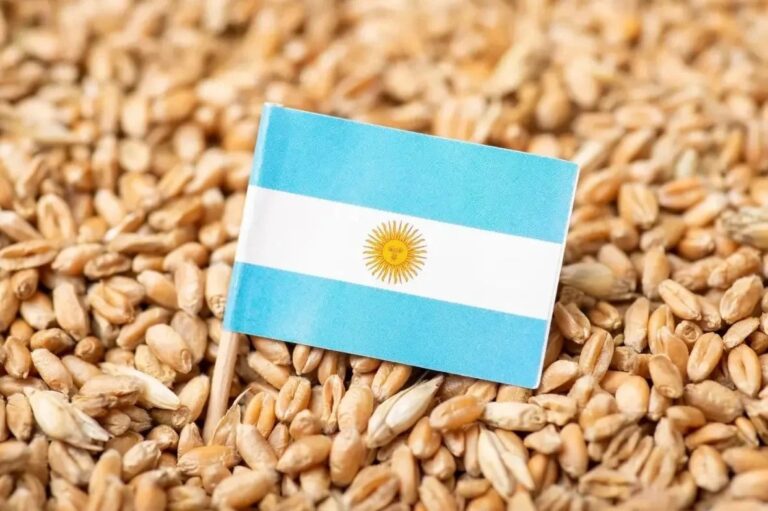 Vendas de trigo na Argentina ficam aquém do esperado
