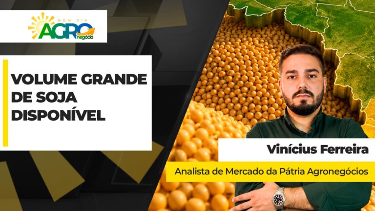 Soja: produtor enfrenta dilema entre vender agora ou aguardar
