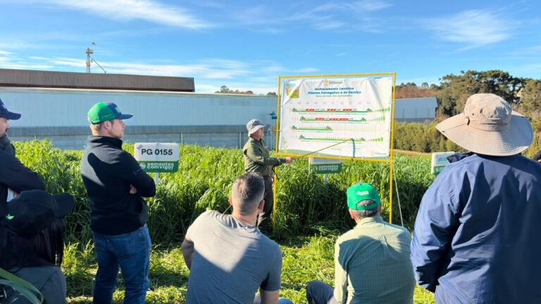 Agricultura regenerativa aumenta disponibilidade de nitrogênio no Sul