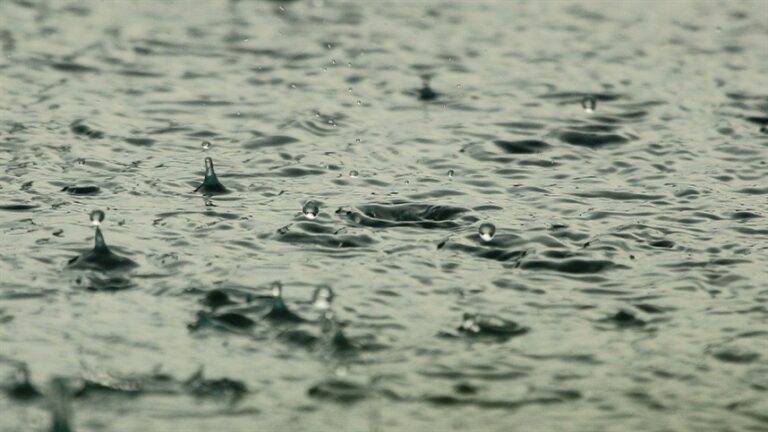Excesso de chuva causa alterações na soja antes de sintomas visuais