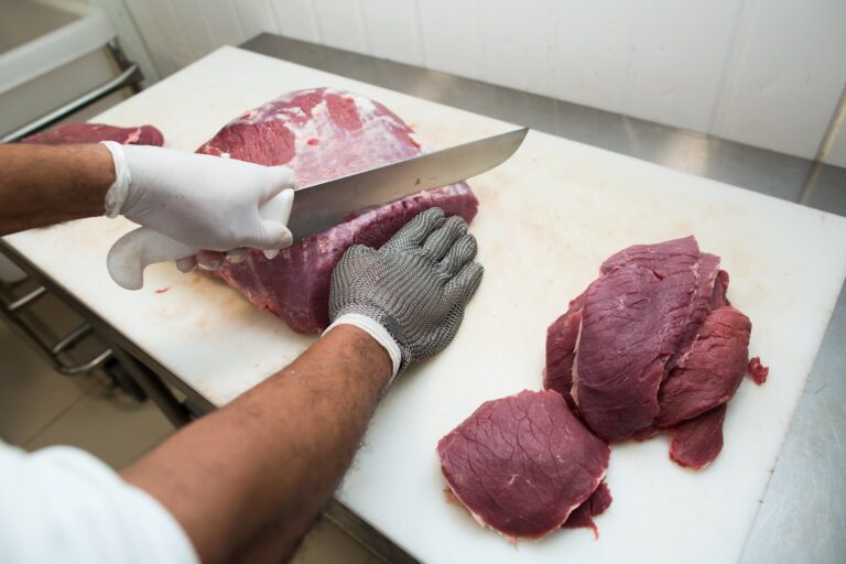 UE amplia pressão por controle de antimicrobianos na produção animal brasileira