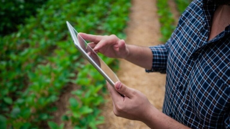 PSR reserva R$ 1 milhão para seguro rural de soja em agosto