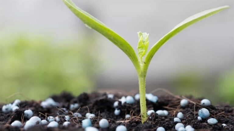 Conflitos mantêm pressão sobre preços de fertilizantes até 2028
