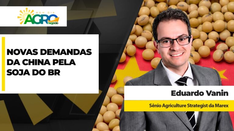 China altera demanda por soja brasileira e afeta cadeias dos dois países